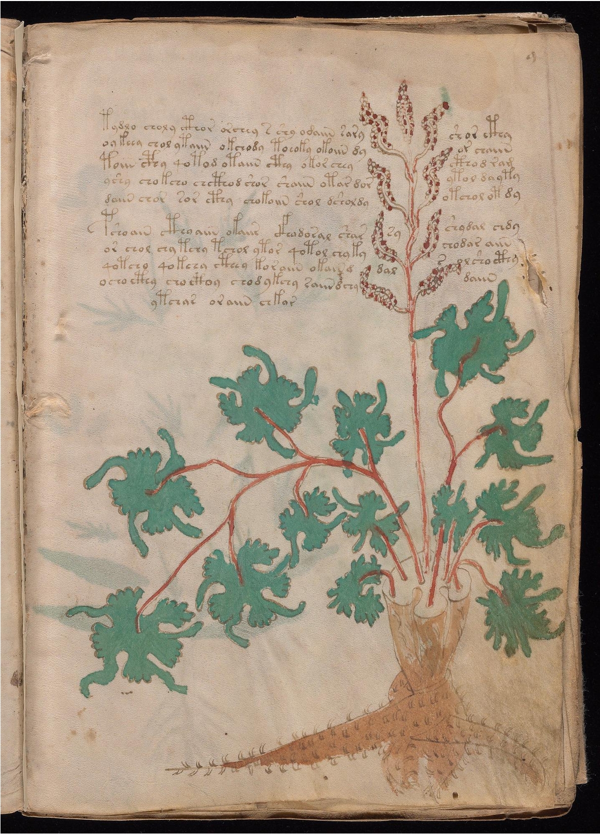 Original manuscript of Folio 9r